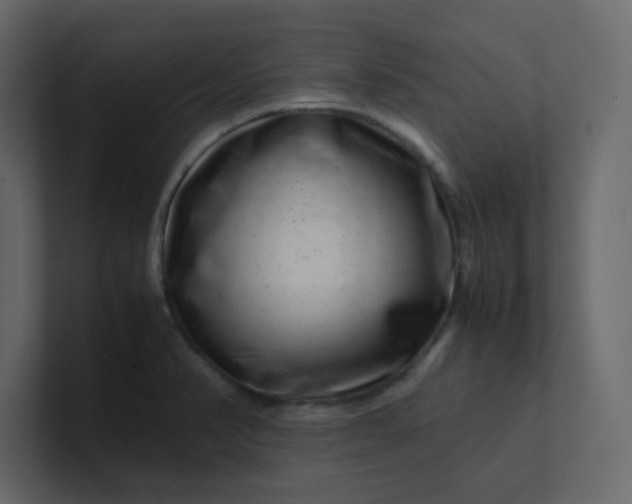 X0000101101374200807101438