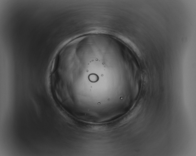 X0000101101375200807101438