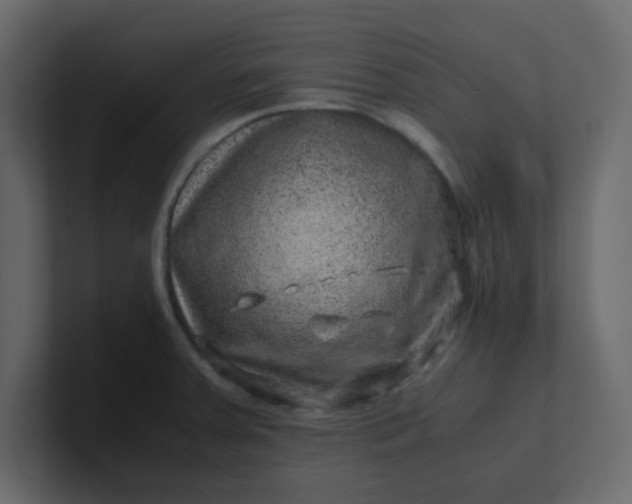 X0000101101379200807101438