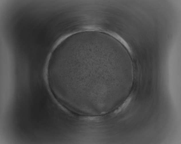 X0000101101381200807101438
