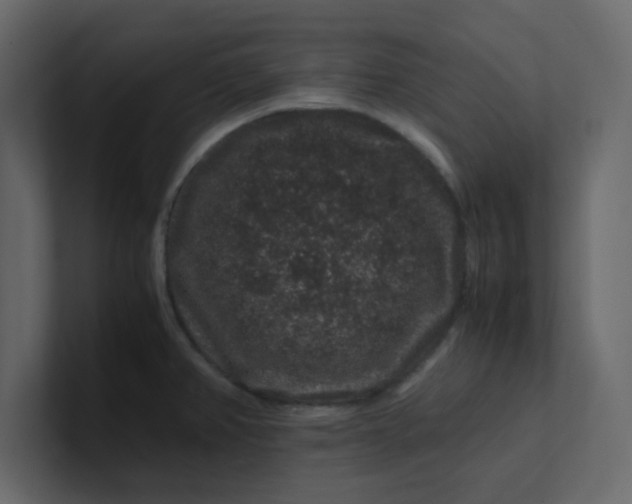 X0000101101382200807101438