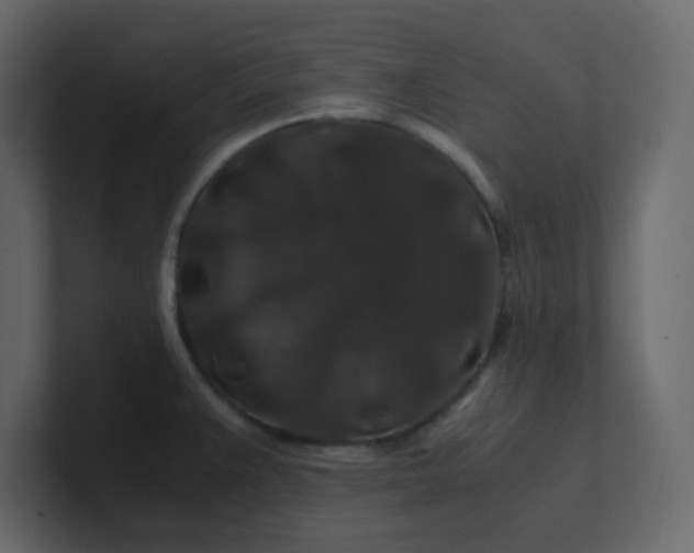 X0000101101383200807101438