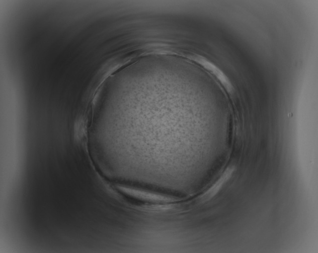 X0000101101385200807101438