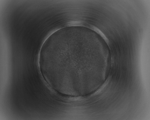 X0000101101386200807101438