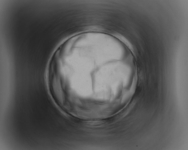 X0000101101391200807101438