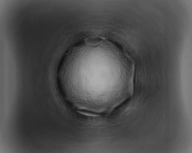 X0000101101393200807101437