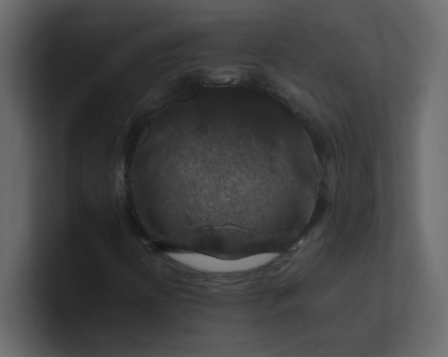 X0000101101394200807101437