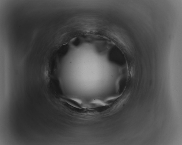 X0000101101396200807101437