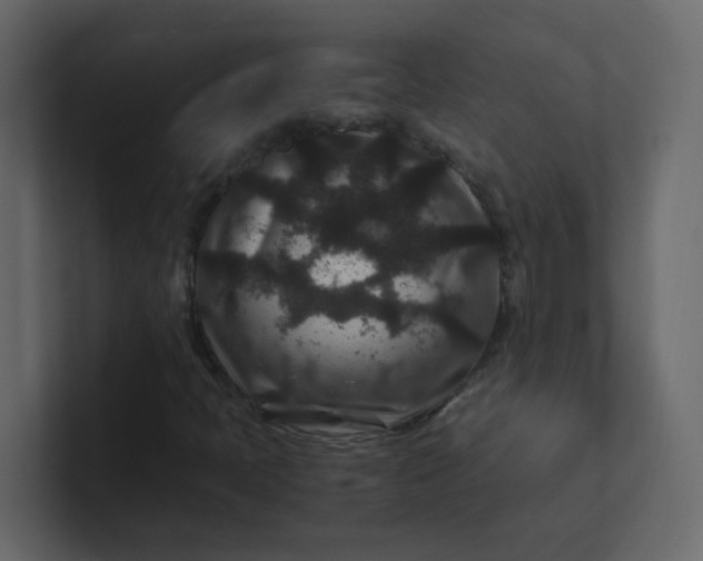 X0000101101397200807101437
