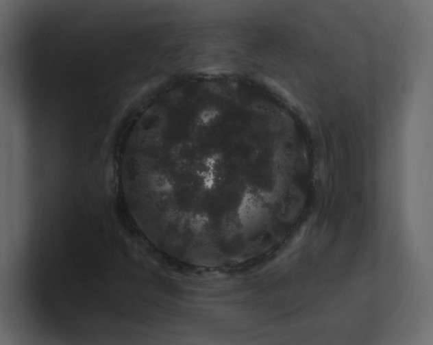 X0000101101398200807101437