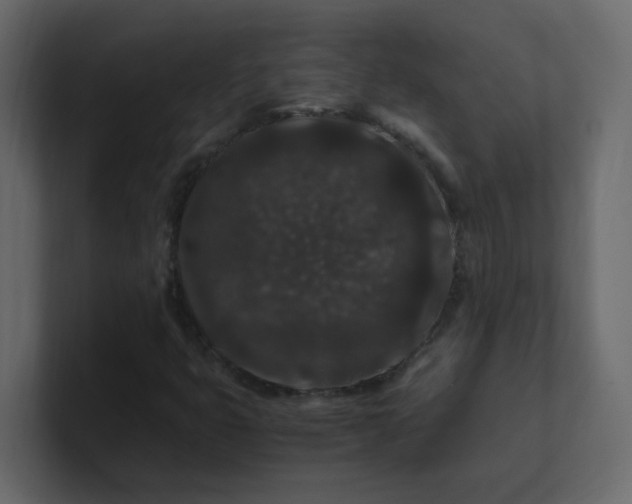 X0000101101399200807101437
