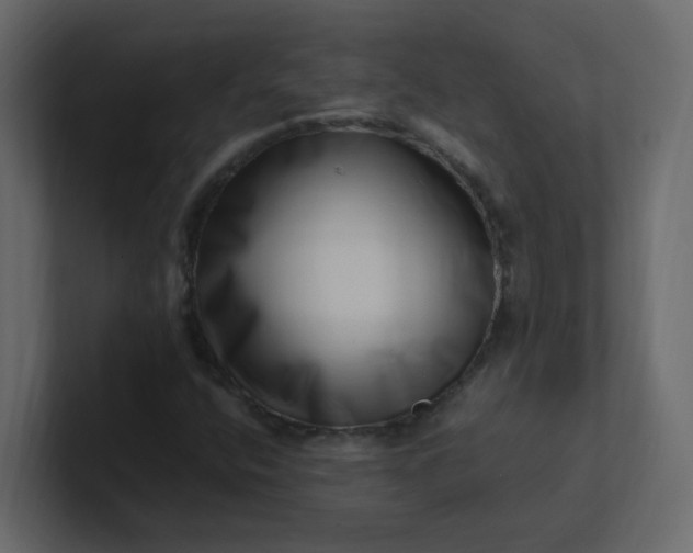 X0000101101400200807101437