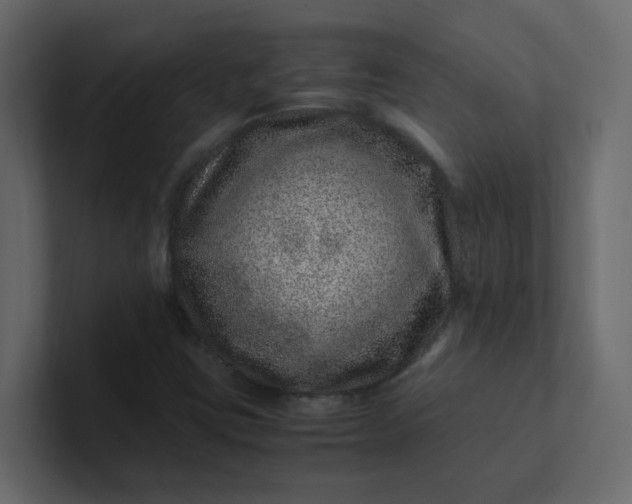 X0000101101403200807101437