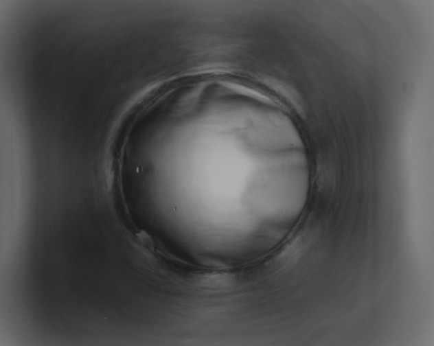 X0000101101406200807101437