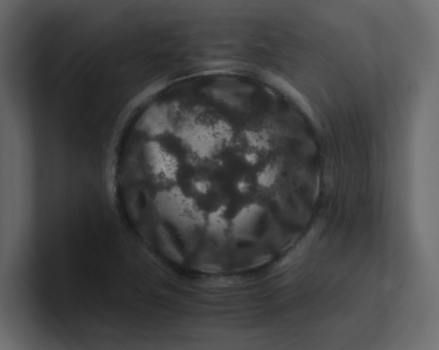 X0000101101411200807101438