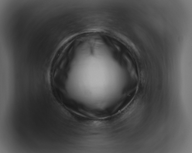 X0000101101412200807101438