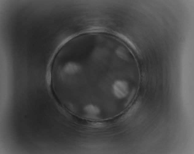X0000101101413200807101438