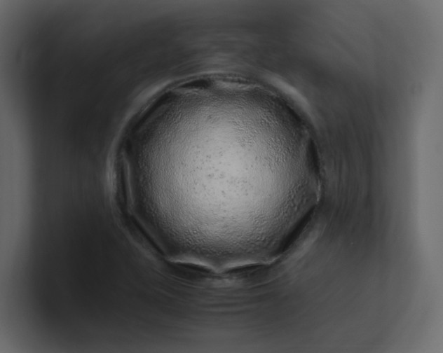 X0000101101415200807101438