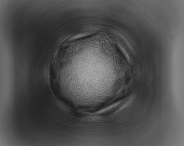 X0000101101417200807101438