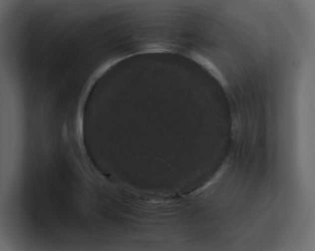 X0000101101419200807101438