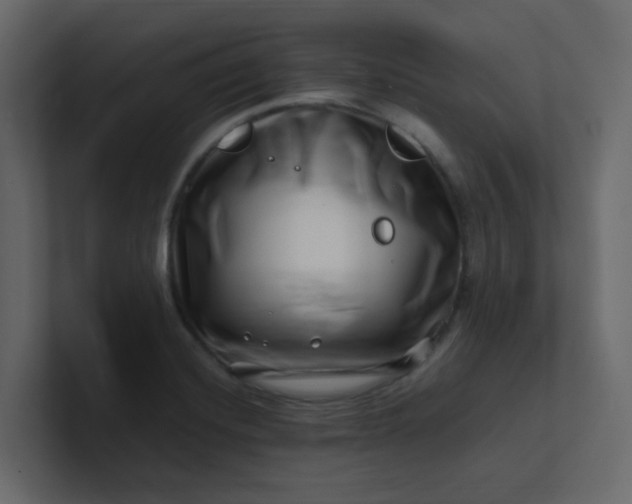 X0000101101420200807101438