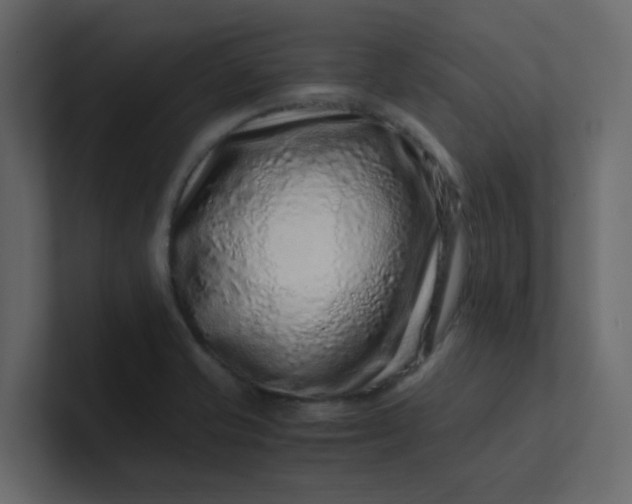 X0000101101421200807101438