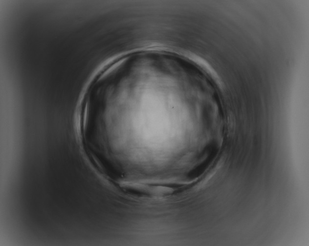 X0000101101424200807101438