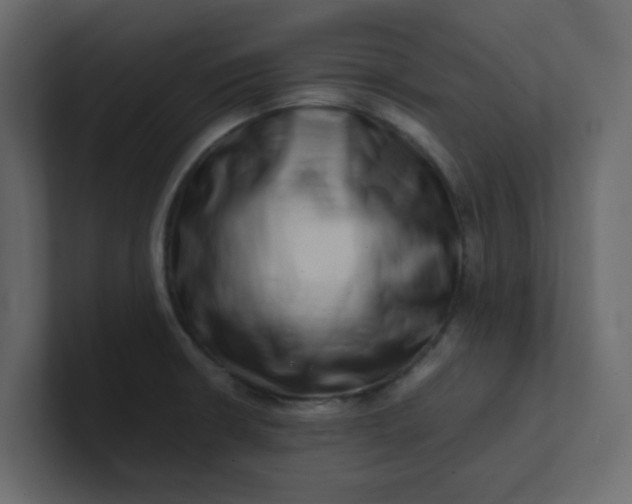 X0000101101426200807101438