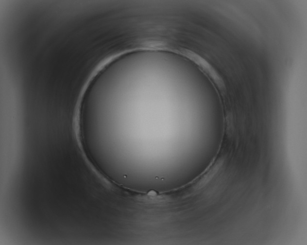 X0000101101432200807101438