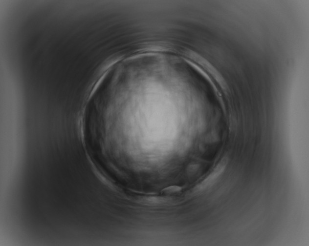 X0000101101433200807101438