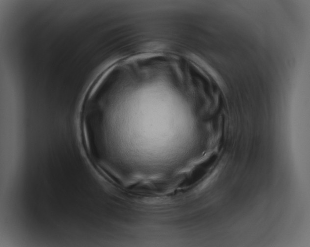X0000101101434200807101438