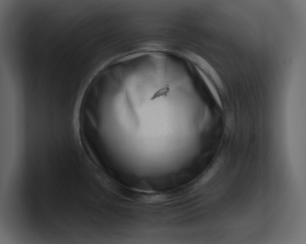 X0000101101435200807101438