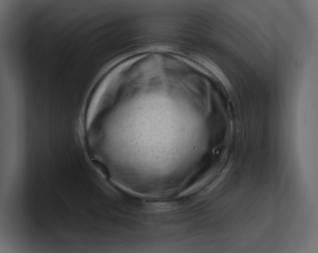 X0000101101436200807101438