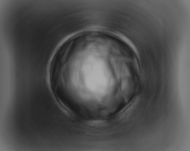 X0000101101437200807101438