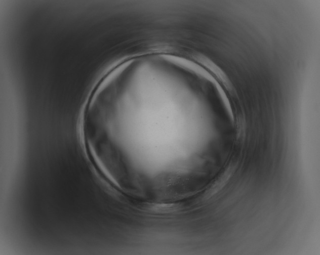 X0000101101439200807101438