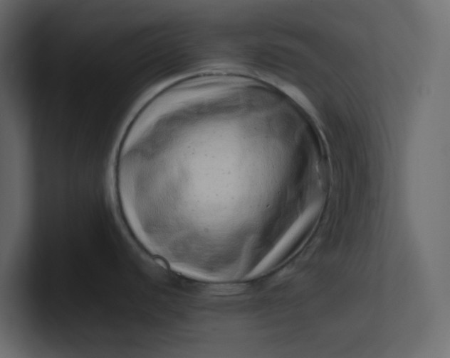 X0000101101440200807101438