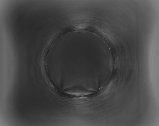 X0000101101441200807101437