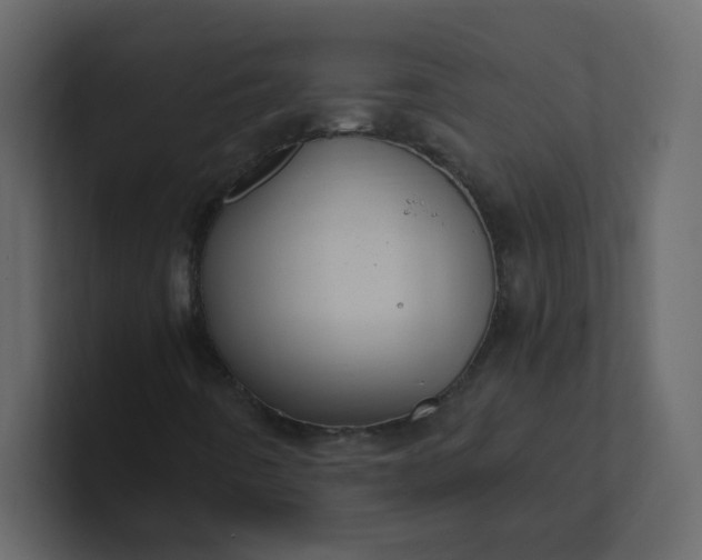 X0000101101442200807101437