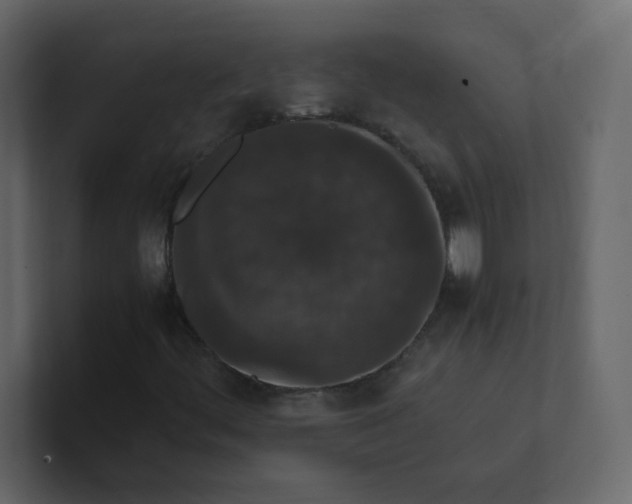 X0000101101444200807101437