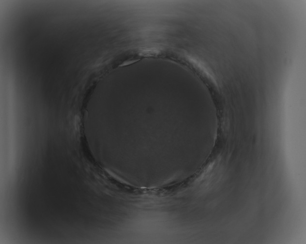 X0000101101445200807101437
