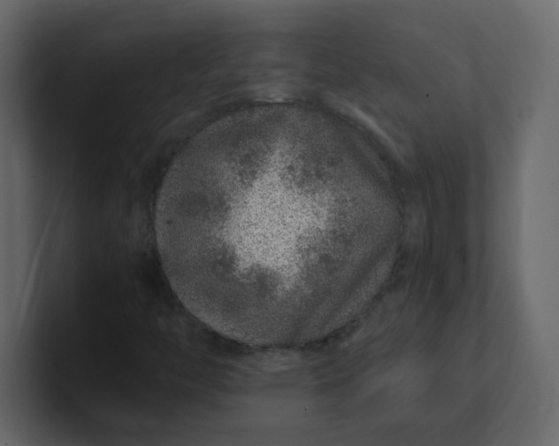 X0000101101446200807101437