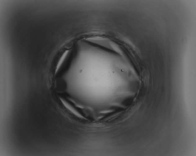 X0000101101448200807101437