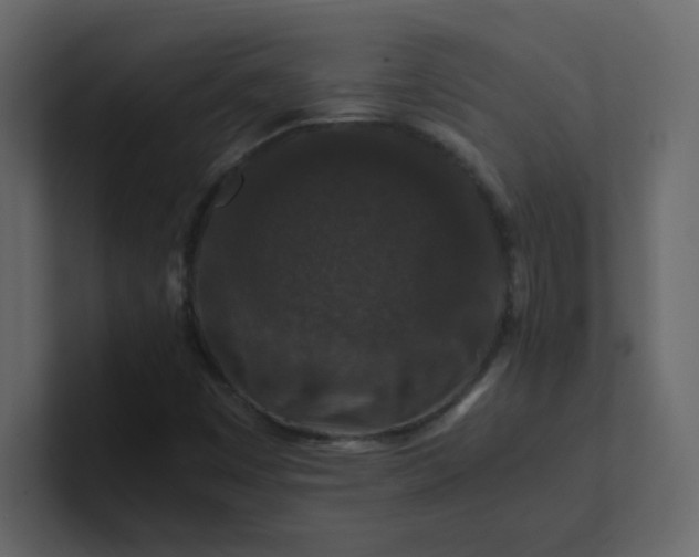 X0000101101449200807101437
