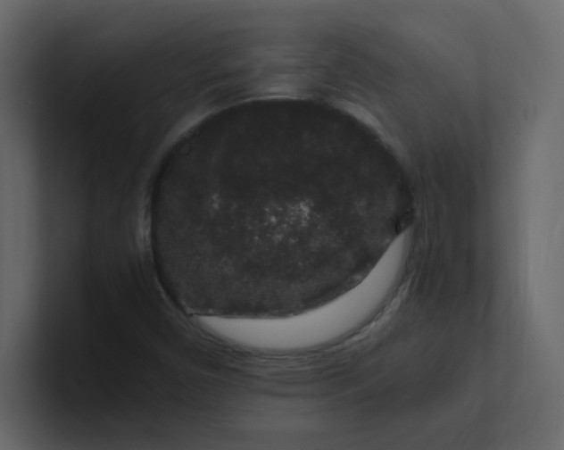 X0000101101450200807101437