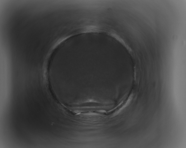 X0000101101453200807101437