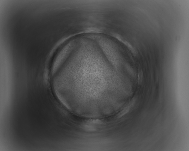 X0000101101454200807101437