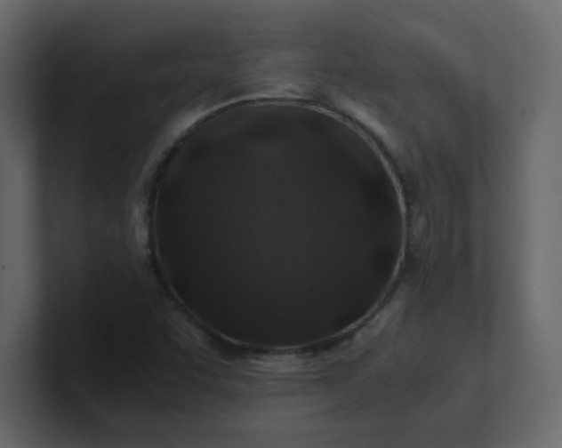 X0000101101455200807101437
