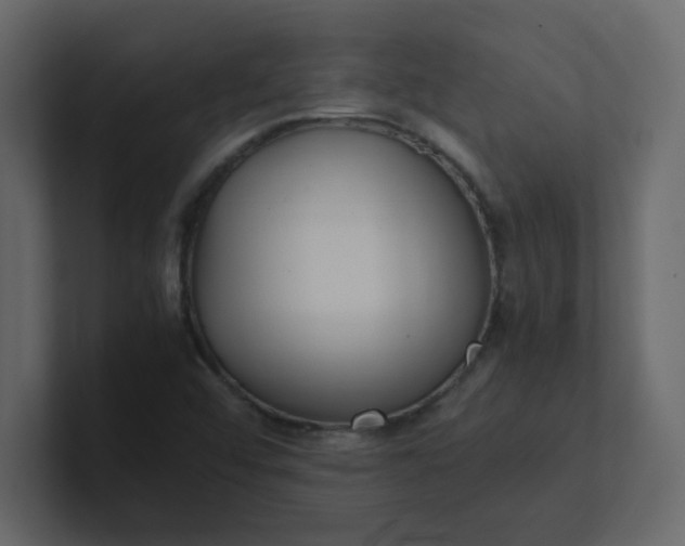X0000101101456200807101437