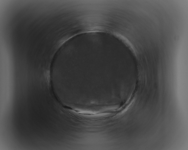 X0000101101457200807101437