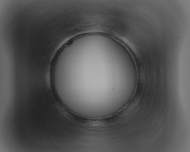 X0000101101460200807101437